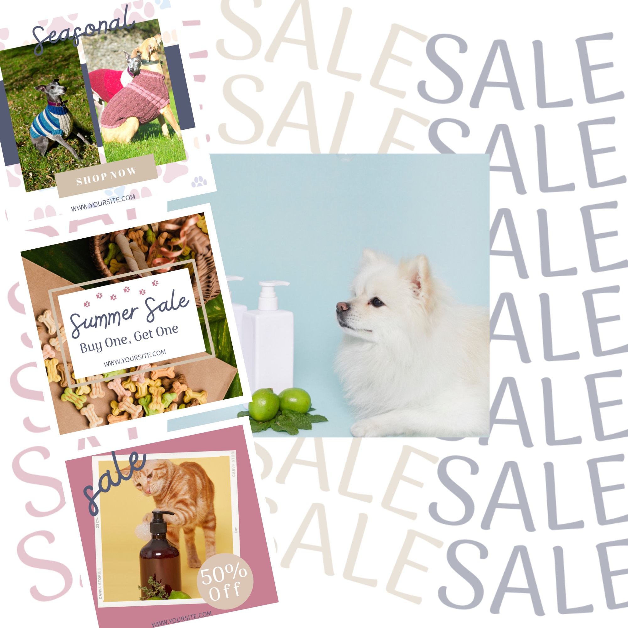 15 Pet Marketing Social Media Posts | Pet Business Social Media | Cat ...