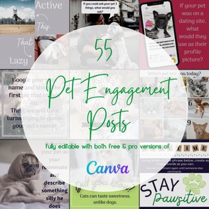 Puede incluir: Un collage de imágenes con consejos para crear publicaciones atractivas sobre mascotas en las redes sociales. El texto "55 Pet Engagement Posts" está en el centro del collage. El collage incluye imágenes de mascotas, indicaciones de texto y un logotipo de Canva.