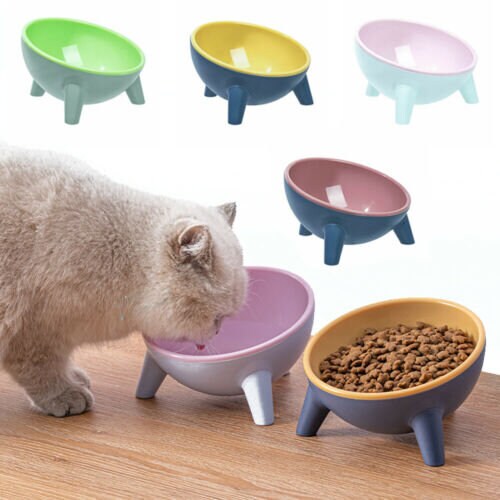 Raised Pet Bowls With Stand: Multifunctional Tilted Ceramic - Temu