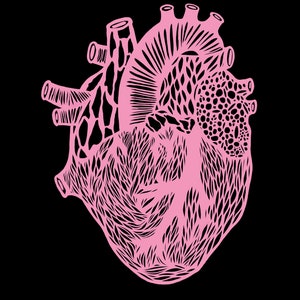 Heart Illustration