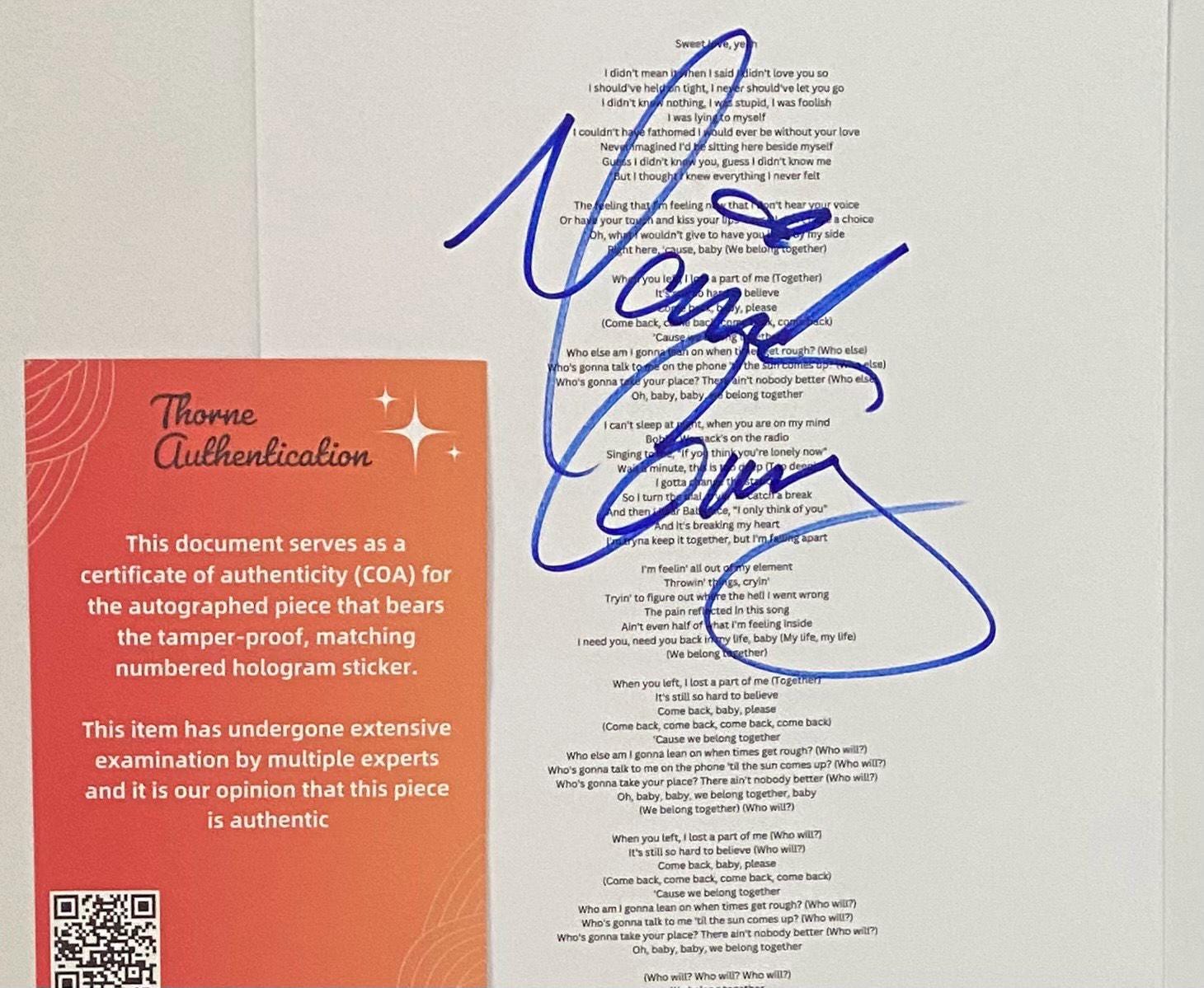 マライヤキャリー  油絵  【送料無料】 2025年最新】Yahoo!オークション -マライアキャリーサインの中古