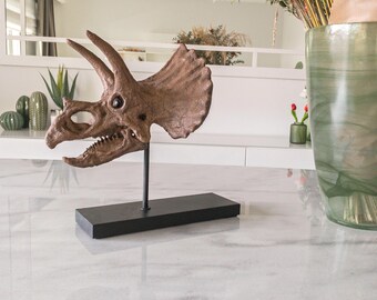 トリケラトプスの頭蓋骨 | 博物館品質の彫刻 | 24 CM | 木製スタンド