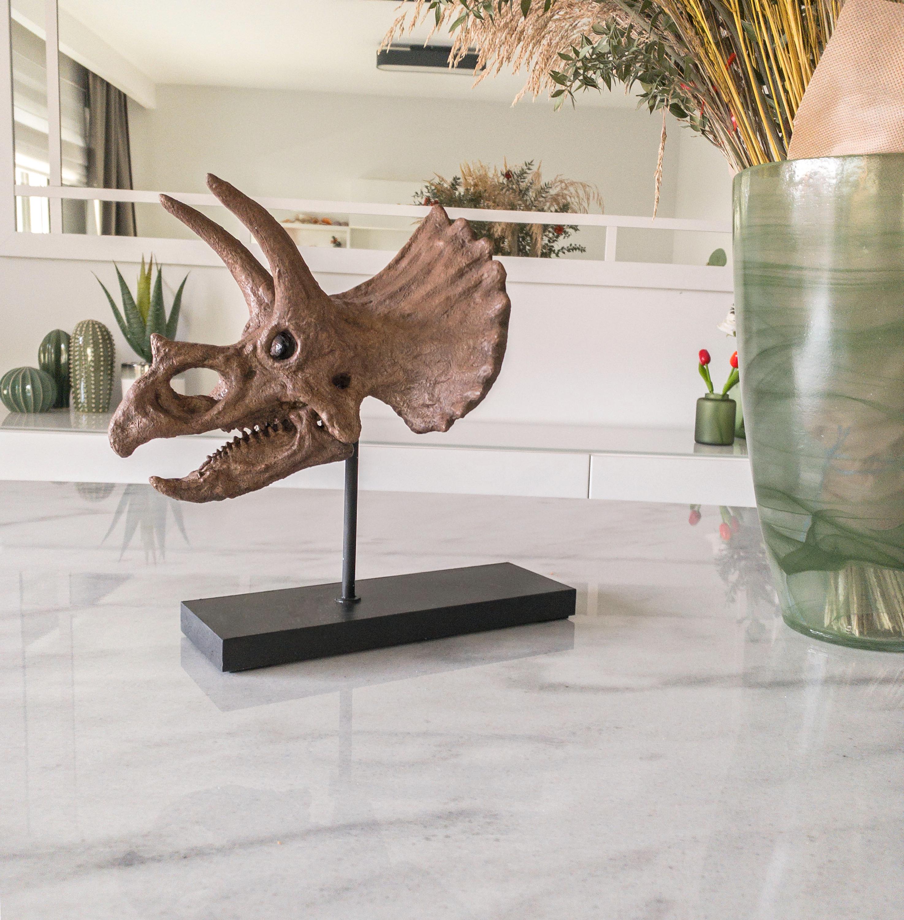 トリケラトプスの頭蓋骨 | 博物館品質の彫刻 | 24 CM | 木製スタンド