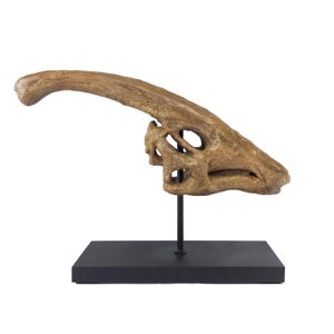 Parasaurolophus Skull | Fossil-Themed Collectible Sculpture | Wooden Stand | 31CM