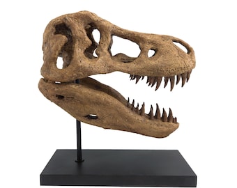 博物館品質のT.レックスの頭蓋骨 24-48インチ - Etsy 日本