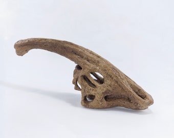 Parasaurolophus Skull | Museum Quality Sculpture | Dinosaur Fossil | Handmade | 24CM