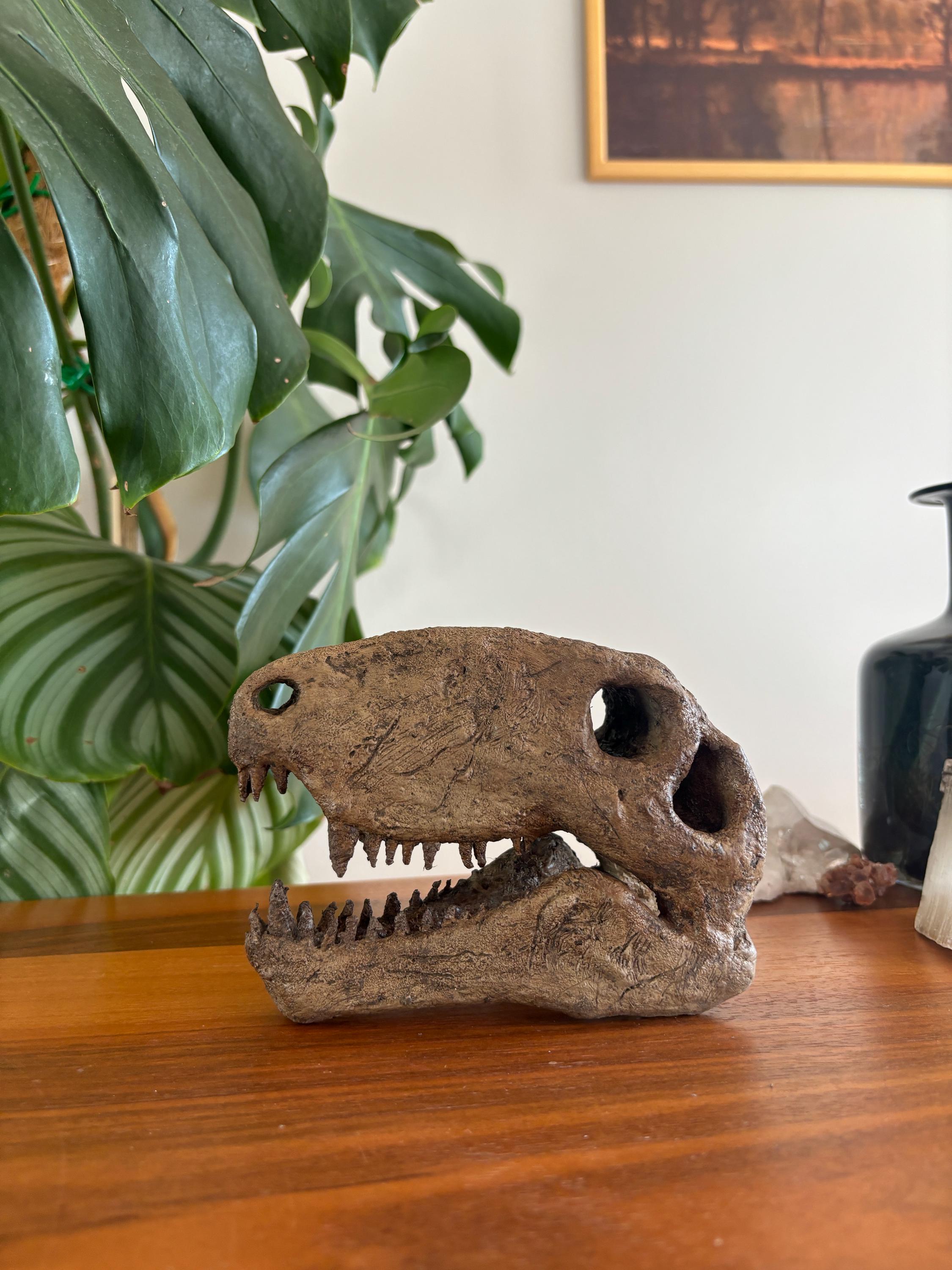 Dimetrodon Skull | Museum Quality Sculpture | Dinosaur Fossil