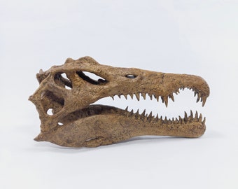 Spinosaurus Skull - 18CM - Museum Quality Sculpture - Dinosaur Fossil - Replica