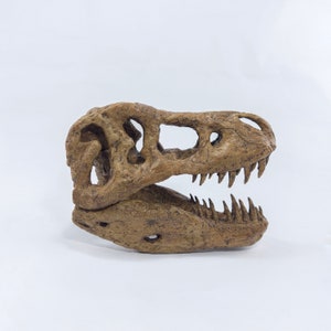Handmade T-Rex Skull |  Perfect Unique Decoration | Museum-Quality Dinosaur Fossil Art | 16CM