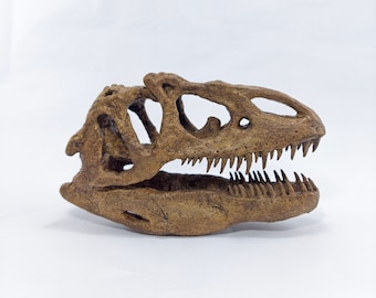 Allosaurus Skull | Unique Fossil-Inspired Clay Sculpture | 17 cm