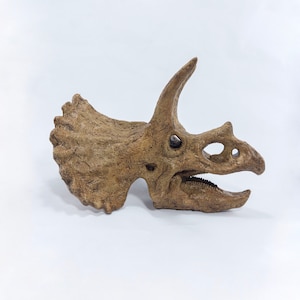 Triceratops Skull | 18CM | Museum Quality Sculpture | Dinosaur Fossil | Handmade