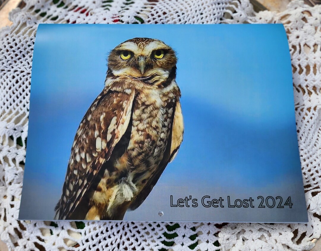 Let's Get Lost 2024 Birds Calendar Etsy