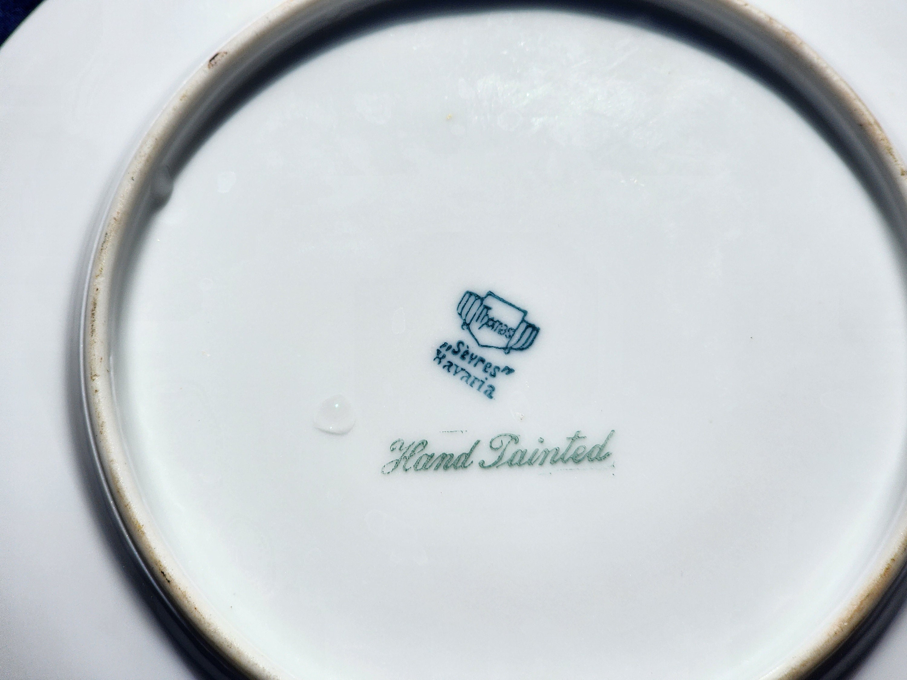 Sevres Sign Sevres Bavaria Hand Painted Roses Signed Plate - Etsy