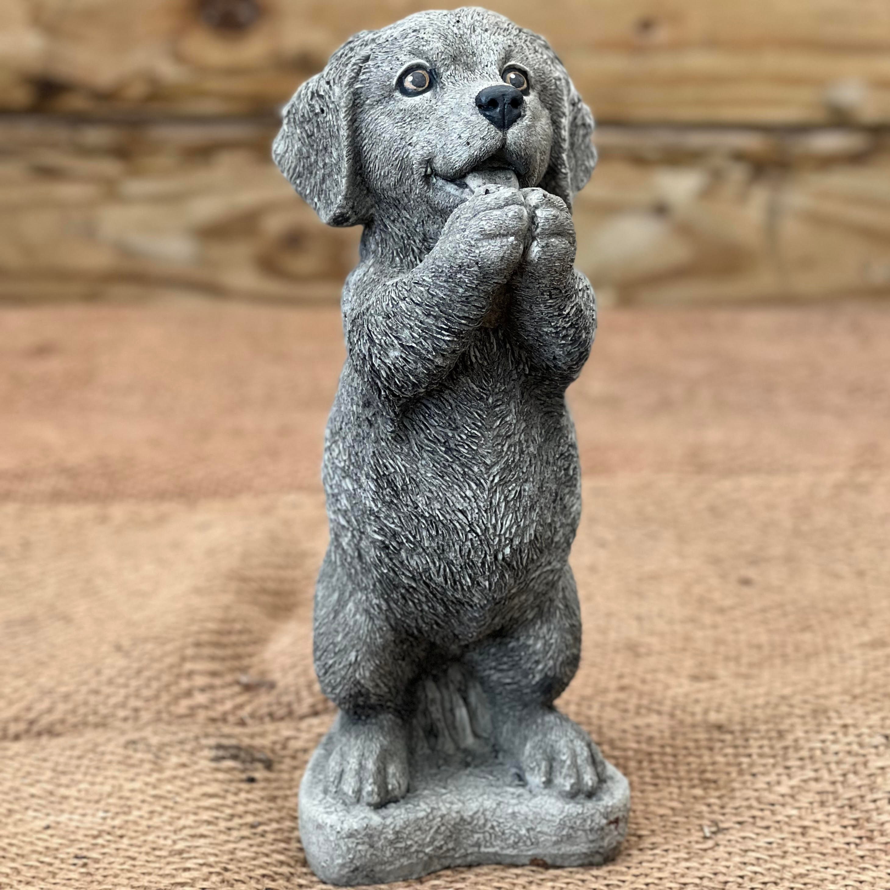 Doodle Backyard Statue Little Puppy Statue Garden Statue Dog Etsy