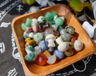 Mini hongos misteriosos