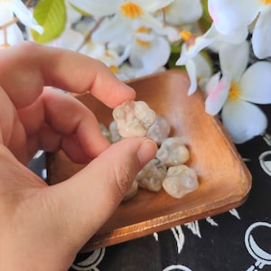 Flower Agate Mini Paw