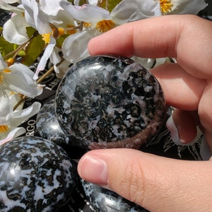 Indigo Gabbro Palm Stone
