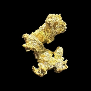 Gold Crystal Nugget Specimen - Grass Valley, California 0.3 grams