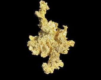 樹枝状ワイヤー金天然金結晶標本 - カリフォルニア州エルドラド郡