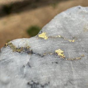 Gold in Quartz - 16 to 1 Mine - Alleghany, California Specimen - 28 grams