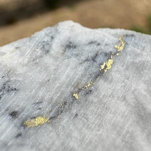 Gold in Quartz - 16 to 1 Mine - Alleghany, California Specimen - 19.5 grams