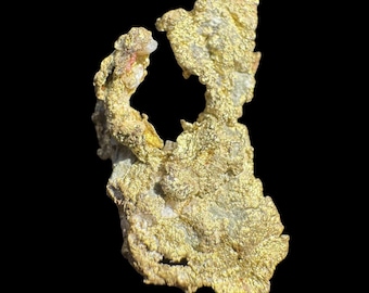 樹枝状ワイヤー金天然金結晶標本 - カリフォルニア州エルドラド郡