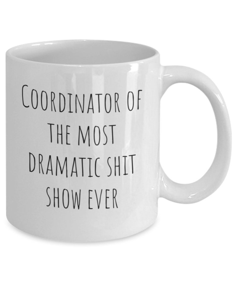 Chaos Coordinator, Shenanigans Coordinator, Secretary Day Gift, Administrative Assistant Gift, Wedding Planner Gift, Team Mom Gift image 9