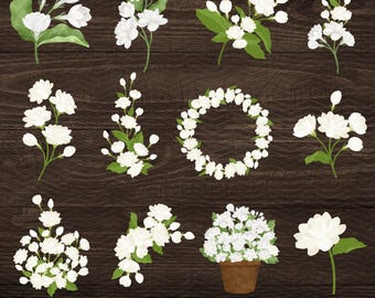 Flor de Sampaguita PNG Clipart: Diseño floral filipino (Descarga digital, 4000x4000 px)