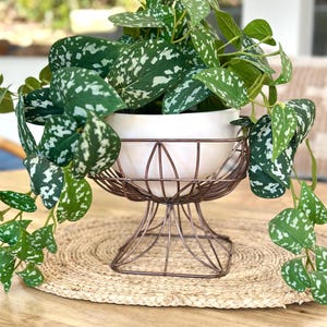 Vintage Metal Wire Fruit Basket Fruit Stand Fruit Vegetable Holder Storage Basket Bread Basket Snack Basket Bronze Tone