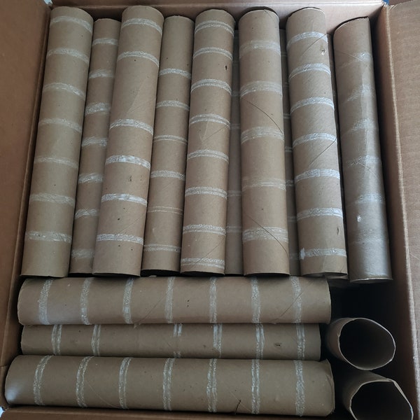 Empty Upcycled Paper Towel Rolls 45 count