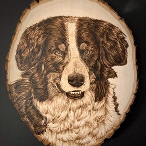 Wood Burning Pet Portrait
