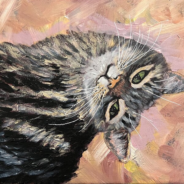 Customised Cat portrait on canvas - commission your own cat painting in acrylic paint on A4 stretched canvas or canvas board