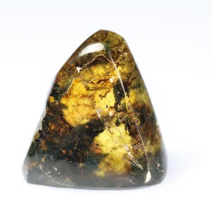 Polished Amber from Chiapas, Mexico #Amber07