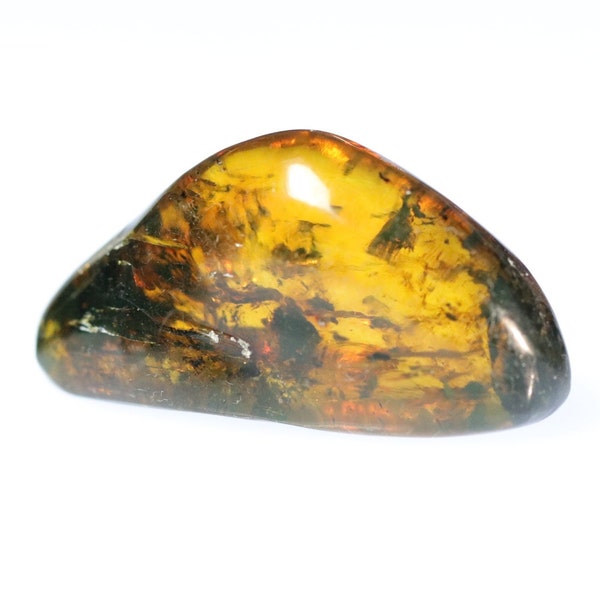 Polished Amber from Chiapas, Mexico #Amber08 UV Reactive