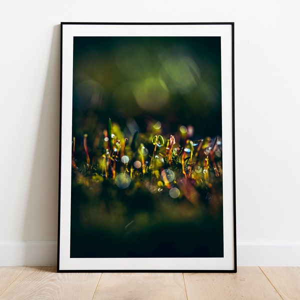 Abstract Macro Photograph of Moss Sprouts, Abstract Macro Moss Sprouts Fine Art Print, Botanical Wall Art, Nature Inspired Home Decor