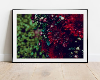 Mums Macro Flower Photograph, Mums Macro Flower Fine Art Print, Botanical Wall Art, Berry Coloured Flower Wall Art, Berry Floral Wall Art