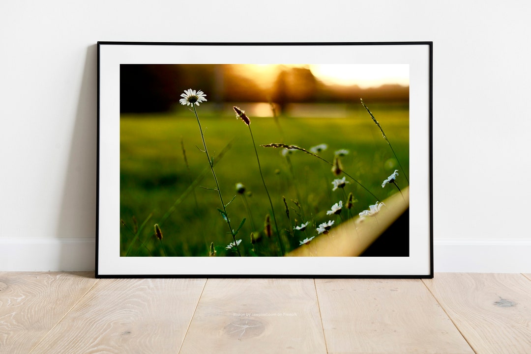 Daisy Flower Print, Floral Artwork, Botanical Wall Art, Wildflower Art ...