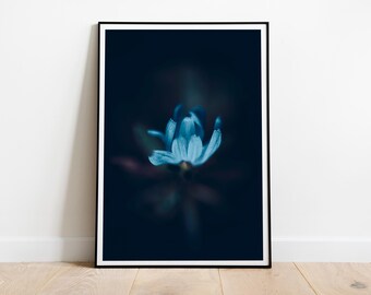 Stimmungsvoller blauer Blumenkunstdruck: Makrofotografie von Blumen, botanische Dekoration