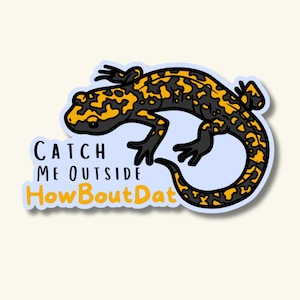 May include: A sticker featuring a black and yellow salamander illustration. The text "CATCH ME OUTSIDE How Bout Dat" is below the salamander. The sticker has a light blue background and a white border.