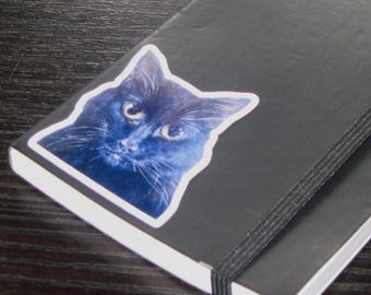 Black Cat Fine Art Sticker: Handpainted Design Heavy Duty Sticker