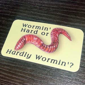 Wormin’ Hard Or Hardly Wormin’? Silly Pun Hand Painted Worm Sticker 4”x2”