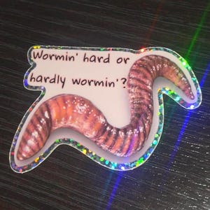 Wormin’ Hard Or Hardly Wormin’? Silly Pun Hand Painted Worm Glittery Sticker