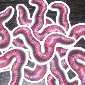 Worm Sticker: Handpainted Design Unique Worm Sticker
