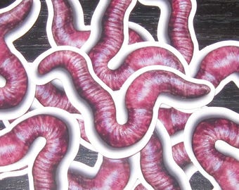 Worm Sticker: Handpainted Design Unique Worm Sticker
