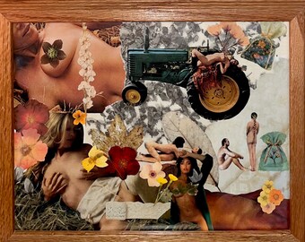 Original Framed Collage Made From Vintage Playboys And Pressed Flower Cutouts