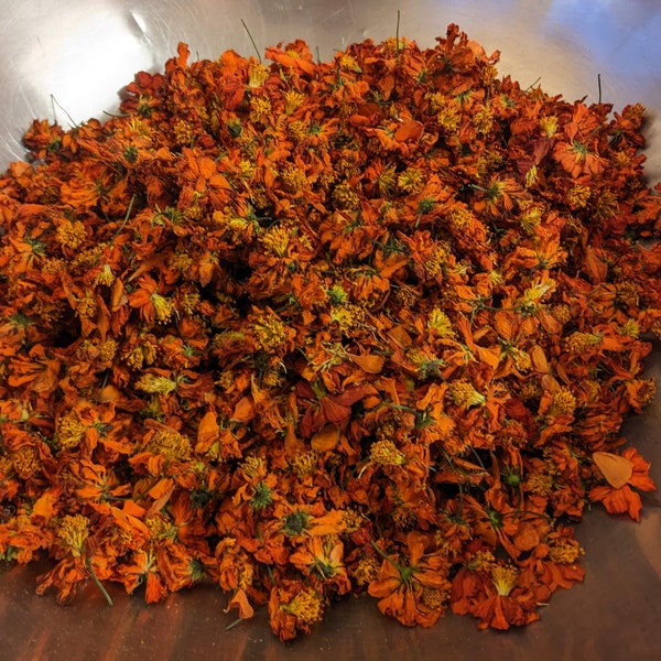 Dried Cosmos Flowers - For Dye and Ecoprint. 2023 Harvest Now in Stock!