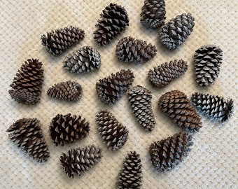 20 piñas de tamaño completo