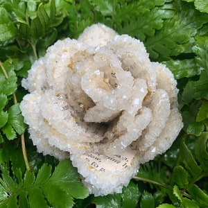 Crystallized Book Page Paper Roses