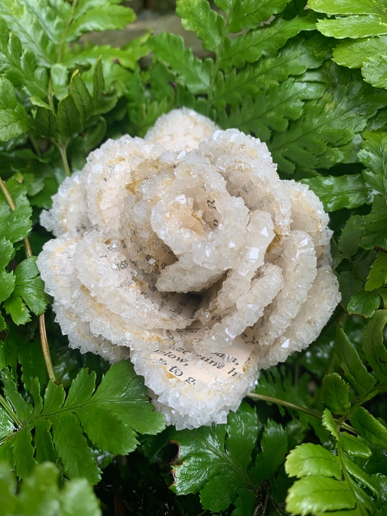 Crystalised Roses Crystallized Book Page Paper Roses - Etsy