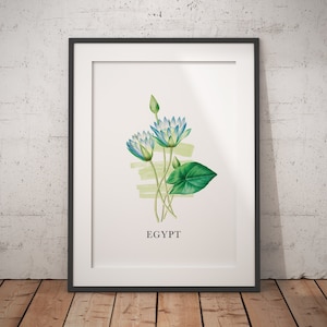 Egypt Lotus Flower Poster - Premium Matte Paper